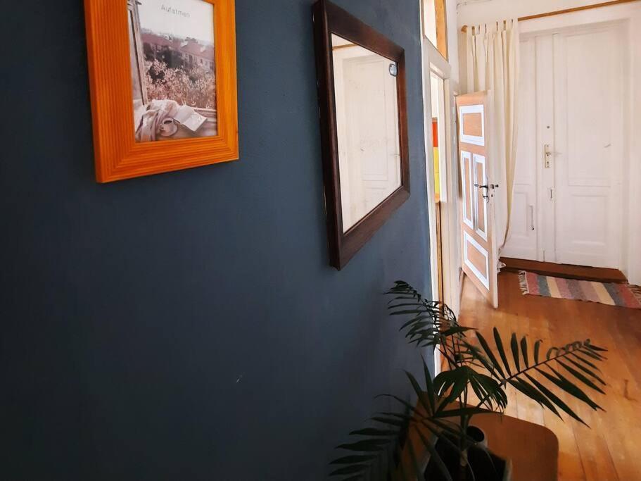 שטראלסונד Altbau Charme & Mittendrin מראה חיצוני תמונה
