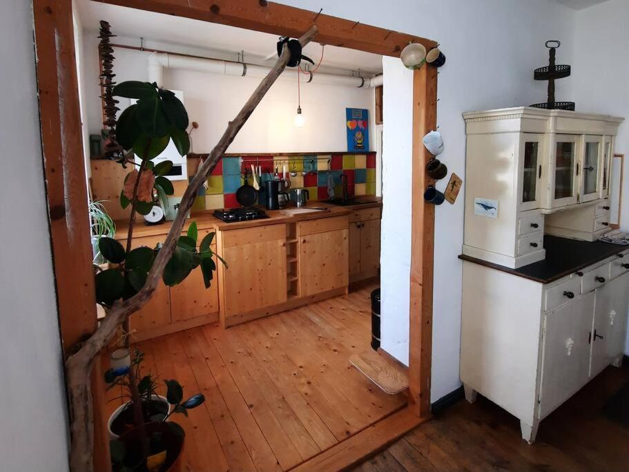 שטראלסונד Altbau Charme & Mittendrin מראה חיצוני תמונה